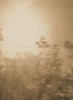 twd0509-2109.jpg