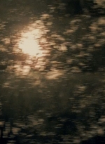 twd0509-2110.jpg