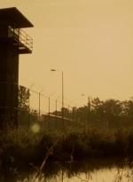 twd0509-2114.jpg