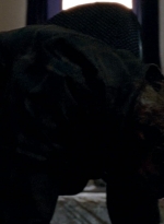 twd0509-2168.jpg