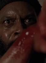 twd0509-2331.jpg