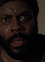 twd0509-2383.jpg