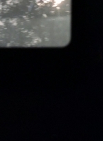 twd0509-2421.jpg