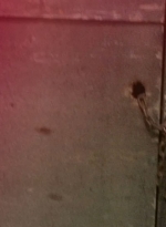 twd0509-2495.jpg