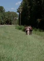 twd0509-2590.jpg