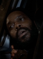 twd0509-2686.jpg