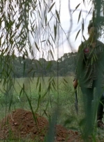 twd0509-3011.jpg