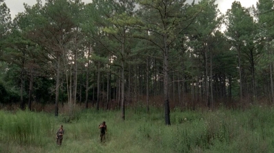 twd0510-0695.jpg