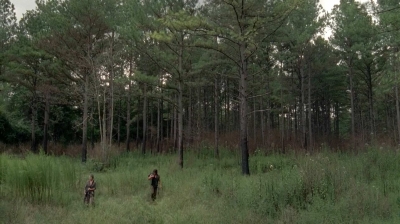 twd0510-0696.jpg