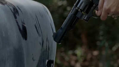 twd0510-1202.jpg