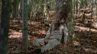 twd0510-1334.jpg