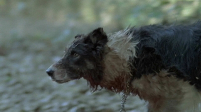 twd0510-1438.jpg