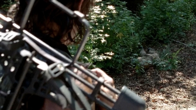 twd0510-1799.jpg