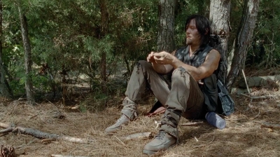 twd0510-1993.jpg