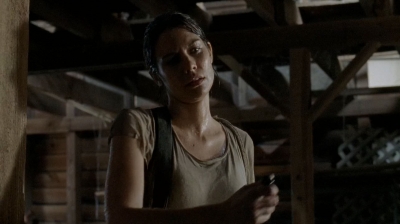 twd0510-2314.jpg