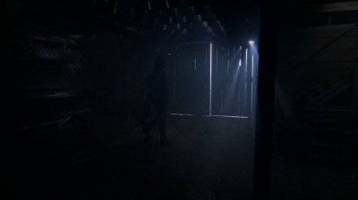 twd0510-2733.jpg