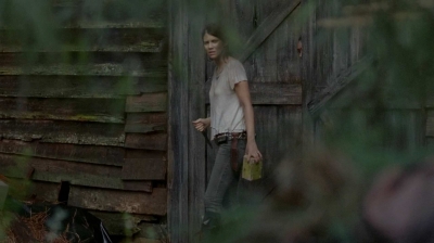 twd0510-3060.jpg