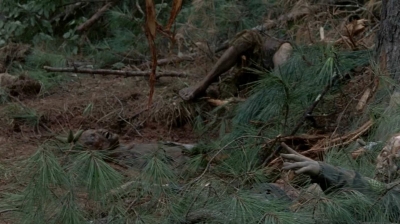 twd0510-3099.jpg