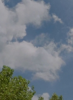 twd0510-0436.jpg