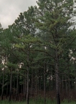 twd0510-0689.jpg