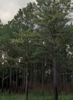 twd0510-0690.jpg