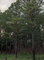 twd0510-0691.jpg
