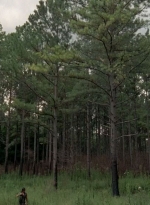 twd0510-0692.jpg