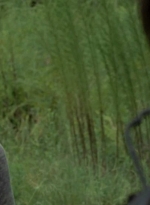 twd0510-0736.jpg