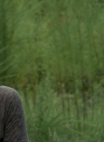 twd0510-0738.jpg