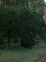twd0510-1223.jpg