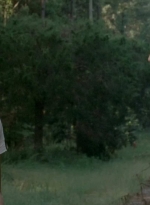 twd0510-1224.jpg