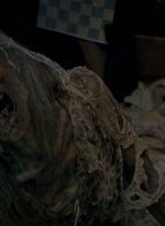 twd0510-2304.jpg