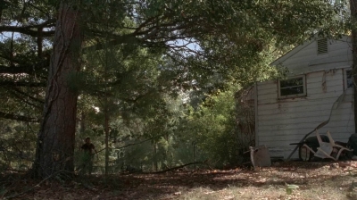 twd0511-3168.jpg