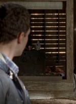 twd0511-1034.jpg