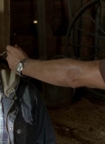 twd0511-1145.jpg
