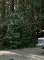 twd0511-1226.jpg