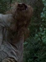 twd0511-1259.jpg