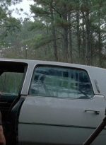 twd0511-1668.jpg