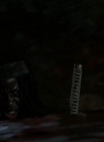 twd0511-2110.jpg