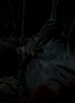 twd0511-2173.jpg