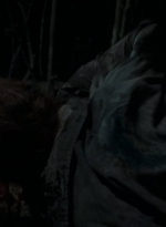 twd0511-2181.jpg