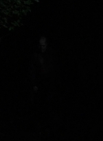 twd0511-2245.jpg