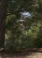 twd0511-3164.jpg