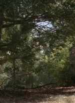 twd0511-3166.jpg