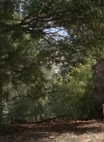 twd0511-3168.jpg
