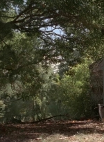twd0511-3169.jpg