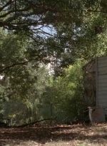 twd0511-3171.jpg