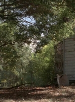 twd0511-3172.jpg