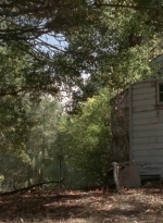 twd0511-3173.jpg