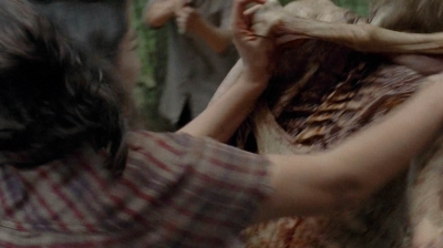 twd0512-2795.jpg